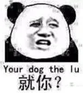 主你？（your dog the lu）