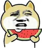 doge吃西瓜