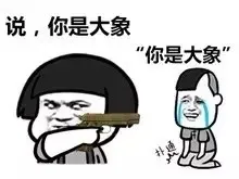 说，你是大象，你是大象