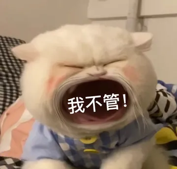 我不管!