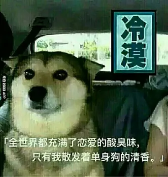 冷漠 全世界都充满了恋爱的酸臭味，只有我散发着单身狗的清香。
