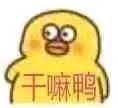 干嘛鸭