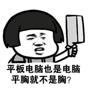 平板电脑也是电脑平胸就不是胸？