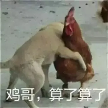 鸡哥，算了算了
