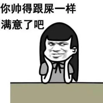 你帅得跟屎一样满意了吧