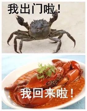 没有对比就没有伤害。