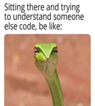 The Universal Programmer Stare