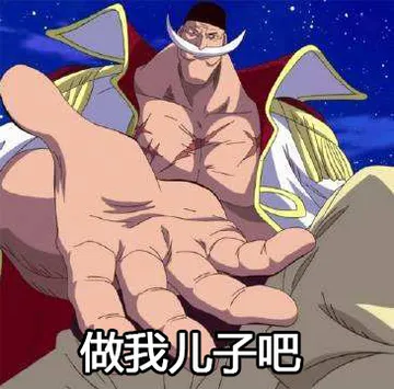 （海贼王白胡子）做我儿子吧，附马云爸爸版