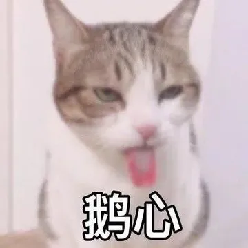 鹅心