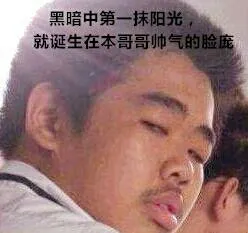 黑暗中第一抹阳光.就诞生在本哥哥帅气的脸庞