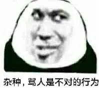 杂种.骂人是不对的行为