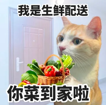 职场怼人必备表情包