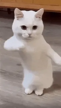20張超好笑【科目三】 GIF 梗圖！快來看看網友們的搞笑創作！