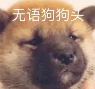无语狗狗头