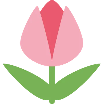 郁金香