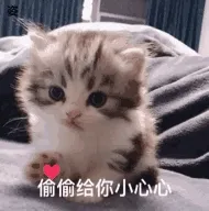 偷偷给你小心心