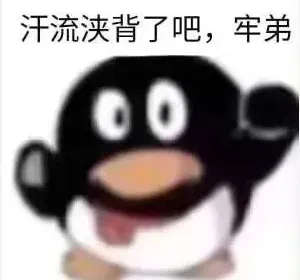 汗流浃背 memes