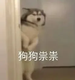 哈士奇与蘑菇头和熊猫人