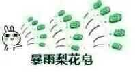 暴雨梨花皂