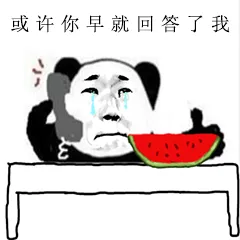 或许你早就回答了我