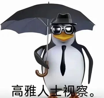 高雅人士视察