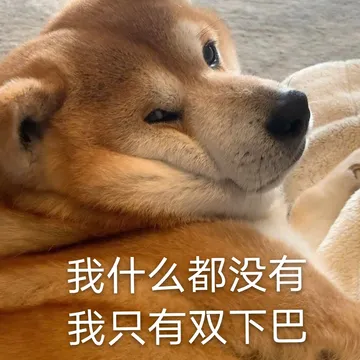 我什么都没有我只有双下巴
