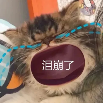 泪崩了