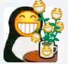 开心花(笑脸)