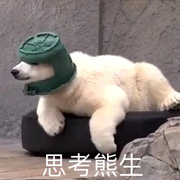 思考熊生
