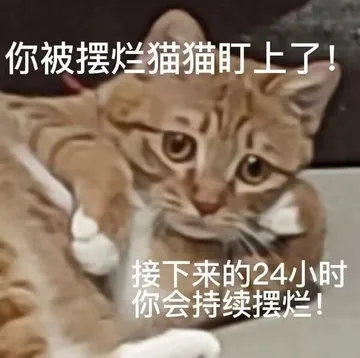 你被摆烂猫猫盯上了！接下来的24小时你会持续摆烂！