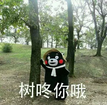 树咚你哦