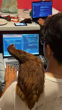 Certified Poultry Debugger