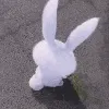 机密兔萌萌哒大眼睛