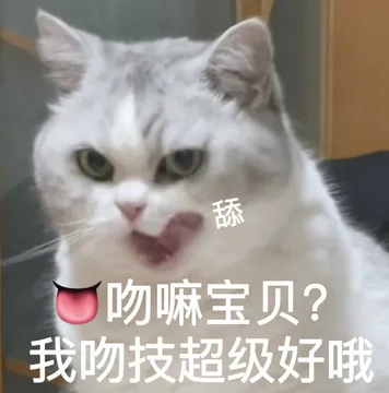 舔吻嘛宝贝？我吻技超级好哦