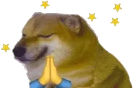 cheems柴犬动态表情包