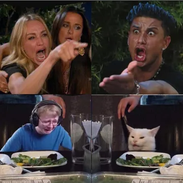 Four panel Taylor Armstrong Pauly D CallmeCarson Cat