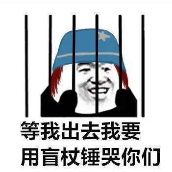 等我出去我要用盲杖锤哭你们