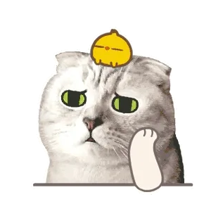 叹气猫