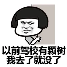 以前有颗树，我去了就没了