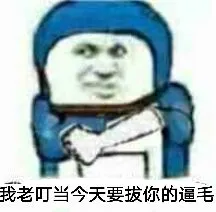 我老叮当今天要拨你的逼毛 ！