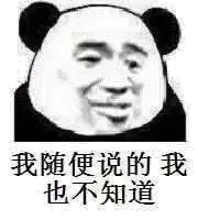 我随便说的，我也不知道（熊猫人）