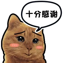 十分感谢