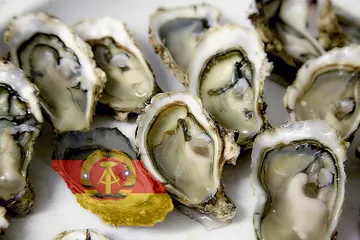 Oyster-deutschland.