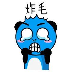 飞行熊日常生活一