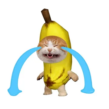 我的刀盾比比拉布香蕉猫表情包高清版