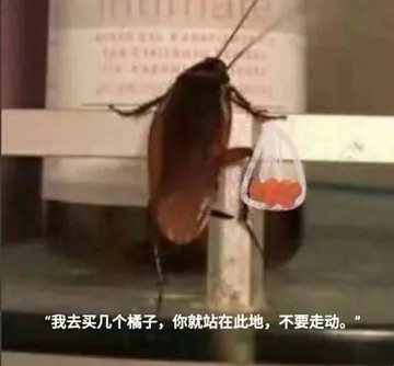 我去买几个橘子,你就站在此地,不要走动.