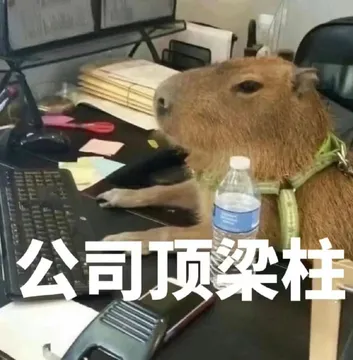 公司顶梁柱(水豚表情包)