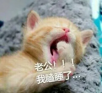 老公！！我瞌睡了...
