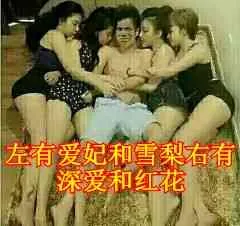 左有爱妃和雪梨，右有深爱和红花