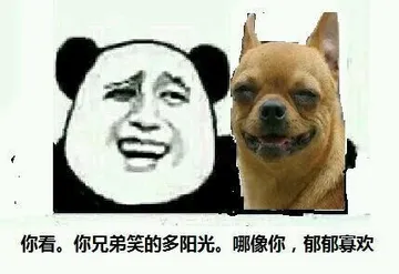 你看，你兄弟笑的多阳光，哪像你，郁郁寡欢